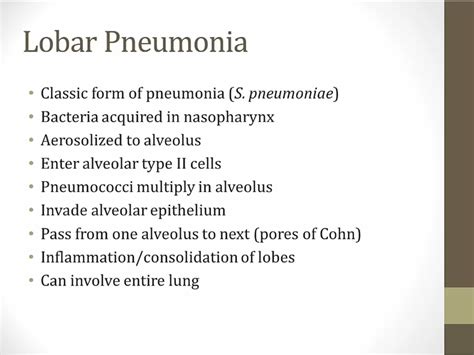 13 Pneumonia My Wiki