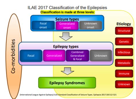 Seizure Antiepileptic Drugs Wang Flashcards Quizlet