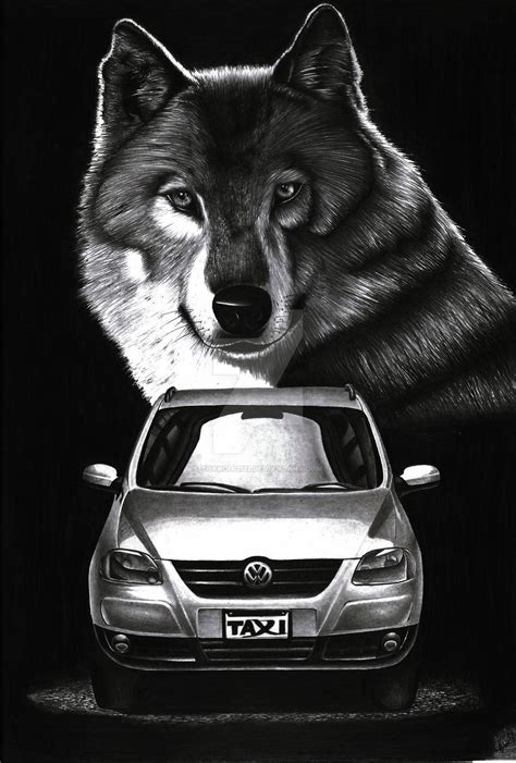 wolf  volkswagen sportvan   yharcia  deviantart