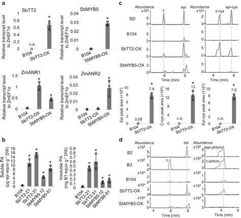 Pa And Pa Precursor Content And Composition In Seeds Of B Maize