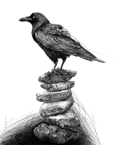 Crow Drawing Print Black and White - Etsy