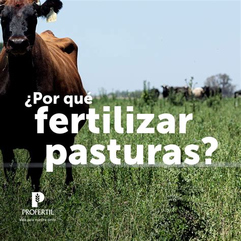 Profertil On Twitter Conoc Los Principales Beneficios De Fertilizar