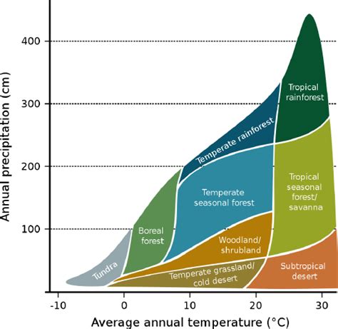 32 Terrestrial Biomes Biology Libretexts