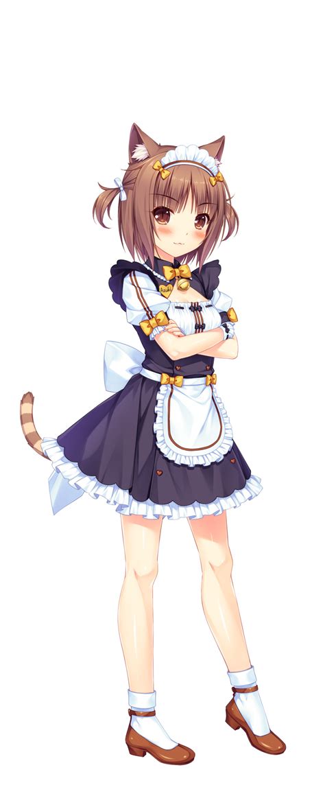 Safebooru 1girl 3 Absurdres Animal Ear Fluff Animal Ears Apron Azuki