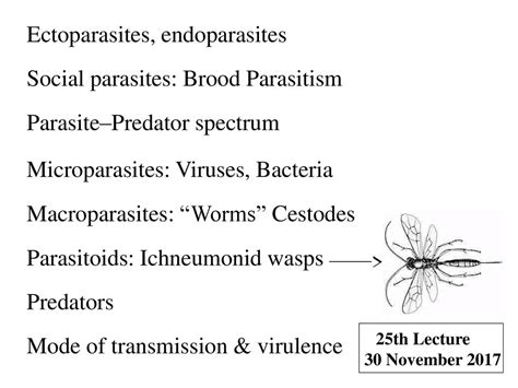 Ectoparasites Endoparasites Social Parasites Brood Parasitism Ppt