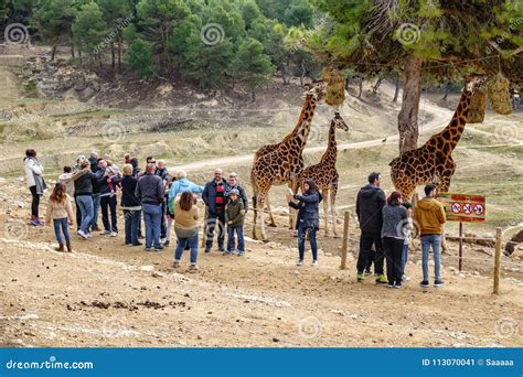 Tourists Visit City Zoo Safari Editorial Photo Image Of Urban Aitana