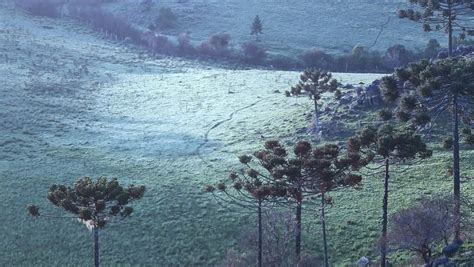 Serra de SC amanhece temperaturas abaixo de 3ºC e geada Éder Luiz