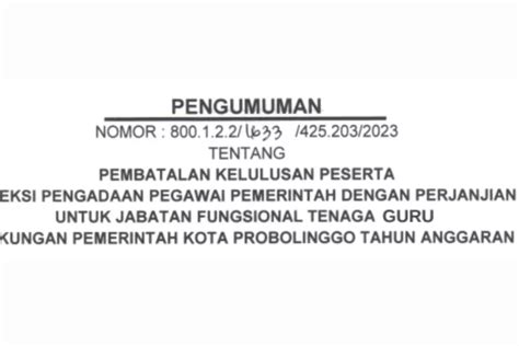 Pembatalan Kelulusan Pppk Lihat Tantangan Dan Dampaknya Bagi