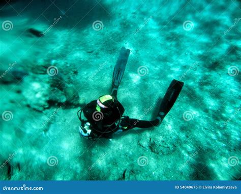 Schnorcheln Und Tauchen Im Roten Meer Redaktionelles Bild Bild Von