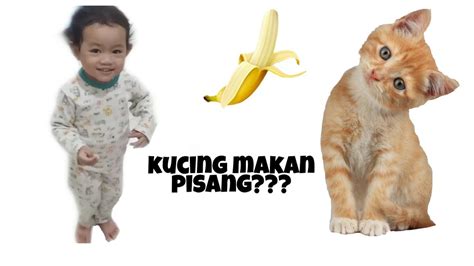 Kucing Mau Makan Pisang Sheza Vlog 1 Youtube