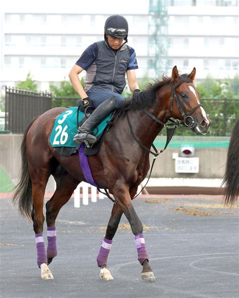 【札幌5r・2歳新馬】ハープスターの半弟コルレオニスは2着 ルメール騎手「口がちょっと硬く、けんかしました」 スポーツ報知