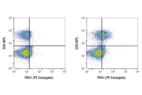 Pkc E I Y Rabbit Mab Pe Conjugate Cell Signaling Technology