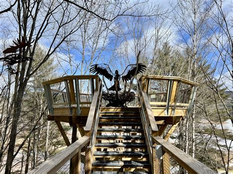 10 Ways To Have Fun At The Vermont Institute Of Natural Science In