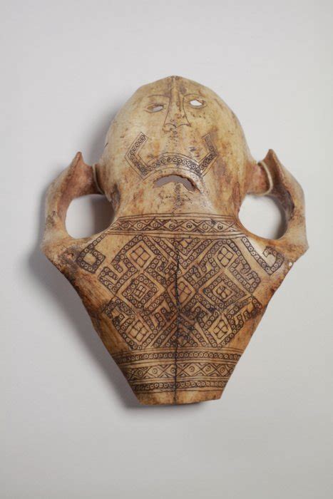 Pig Skull Mask Skull Timor West Indonesia Catawiki