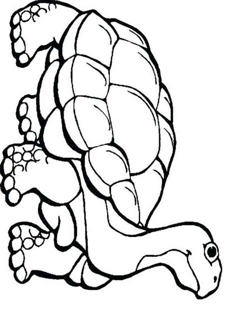 Reptiles coloring pages - SeaColoring