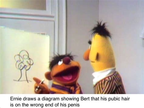 Bert Realizes His Life Is A Lie Bertstrips Know Your Meme