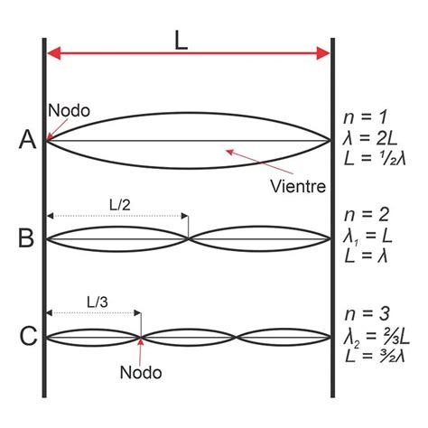 Ondas estacionarias en cuerdas y tubos Fórmulas y ejemplos