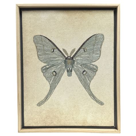 Luna Moth Thread Art - American Folk Art Museum