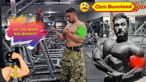 Best 3 Exercises For Bigger Biceps And Triceps Recommended By Chris