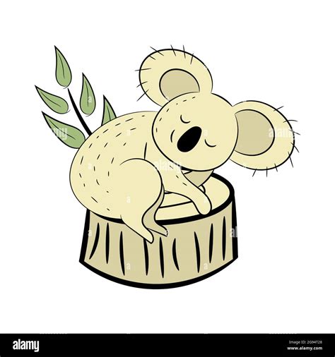 Koala Una Ilustración Vectorial Dibujada A Mano De Un Lindo Koala El