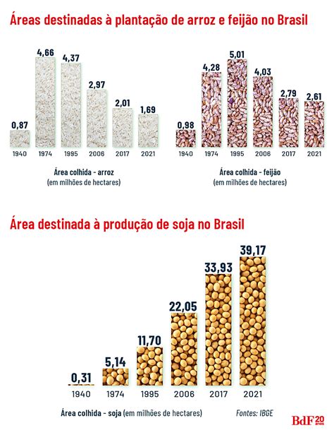 Maior produção de arroz orgânico da Podcast Rádio Brasil de Fato