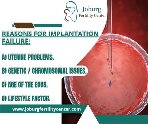 What is Embryo Implantation?