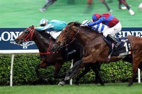 【画像】g1・6勝の香港馬ロマンチックウォリアー 安田記念参戦へ！シャム師「われわれは必ず日本に行く」 ライブドアニュース