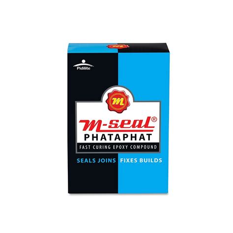 Buy Pidilite M Seal Phataphat Fast Curing Epoxy Compound Putty Sealant