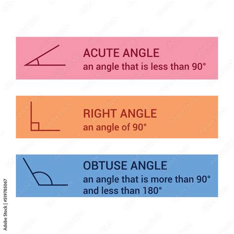 types  angles acute   obtuse angles stock vector adobe stock