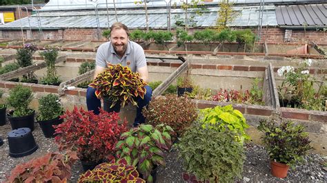 National Plant Collections Everywhere! – Plant Heritage