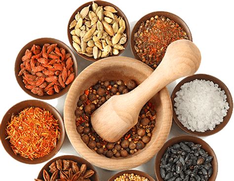 Ceylon Spice Company Spice And Food Processing And Packaging Company