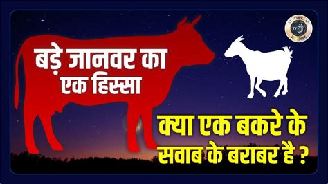 Kya Bade Janwar Ki Qurbani Ka Ek Hissa Ka Sawab Ek Bakre Ke Qurbani Ke