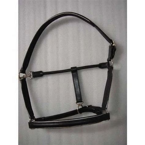 leather head collar   price  kanpur  rnz exports id