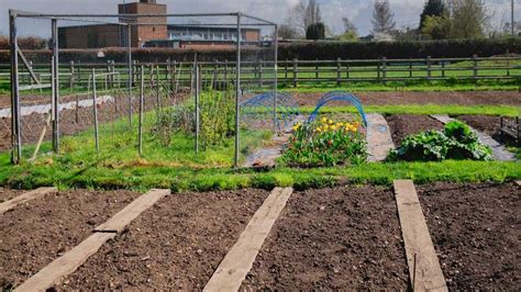 Allotment Design Ideas For Beginners Allotment Planning Wm James