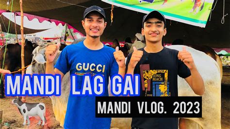 Finally Cow Mandi Lag Gai Bakra Eid Vlog Ramzan Pro Mandi Vlog