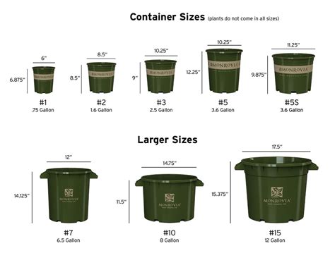 What Is The Volume And Weight Of Your Growing Containers