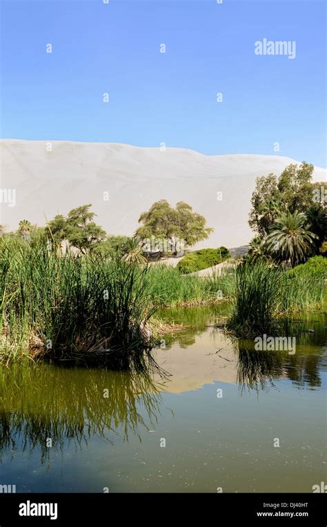 Oasis huacachina Peru Stock Photo - Alamy