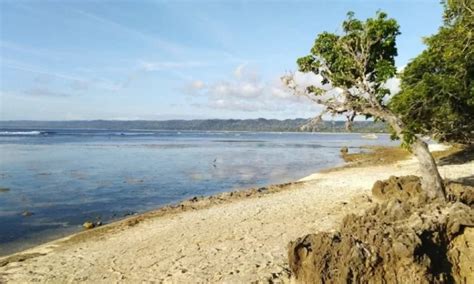 Pantai Plengkung Pantai Eksotis Dan Spot Surfing Favorit Di Banyuwangi