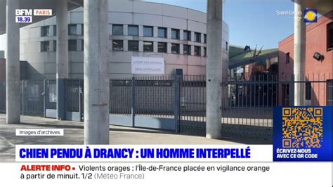 Drancy Un Homme Interpell Pour Avoir Pendu Un Chien