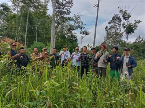 Peningkatan Kelestarian Lingkungan Perhutani Garut Gelar Aksi