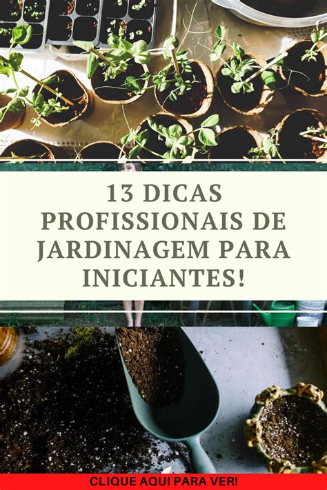 13 Dicas Profissionais De Jardinagem Para Iniciantes Comece A Plantar