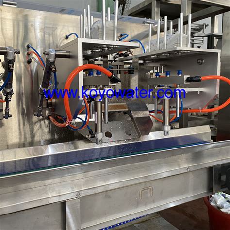 New Full Auto Filling Machines For Japanese Tofu Koyo Water Sachet