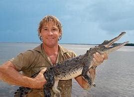 Crocodile facts, pictures, videos and more... stuff - Crocodile Facts