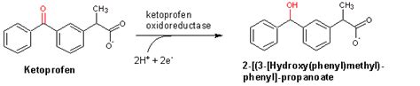 Eawag Bbd Reaction Reacid R1644