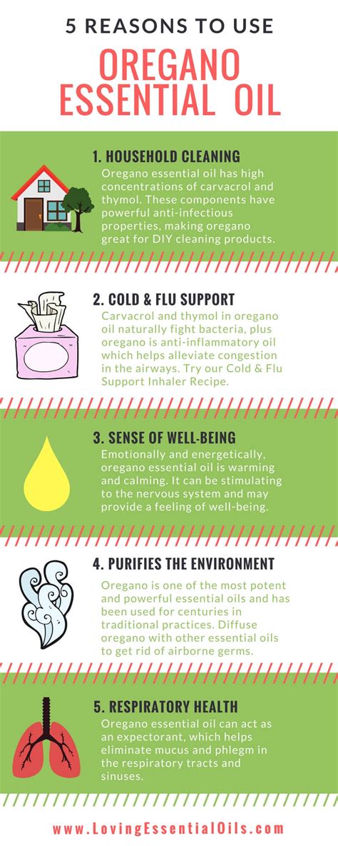 Oregano Essential Oil Recipes Uses And Benefits Free Guide Loving