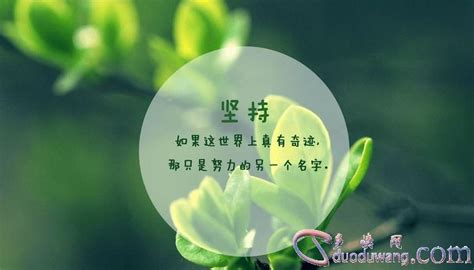 关于坚持的名言警句摘抄大全 多读网