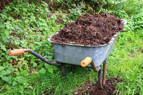 C Mo Hacer Abono Org Nico O Compost En Casa En Pocos Pasos Arpasa