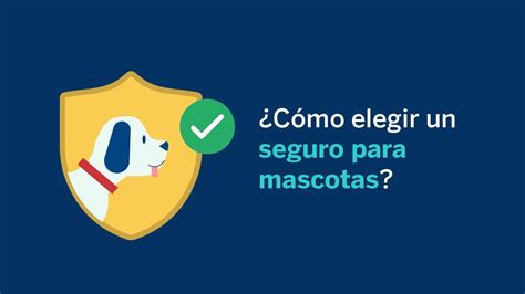 Guía Práctica Para Contratar Seguros De Mascotas En México Mx