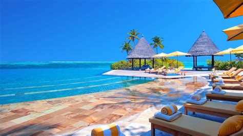 Tropical beach with palm trees - Virtual Backgrounds