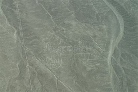 Vista Aérea De La Orca O Geoglifo De La Ballena Asesina En Las Líneas